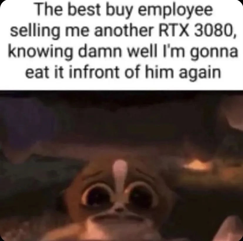 "The best buy employee selling me another RTX 3080, knowing damn well I'm gonna eat it infront of him again". Picture of the lemur Mort from Madagascar