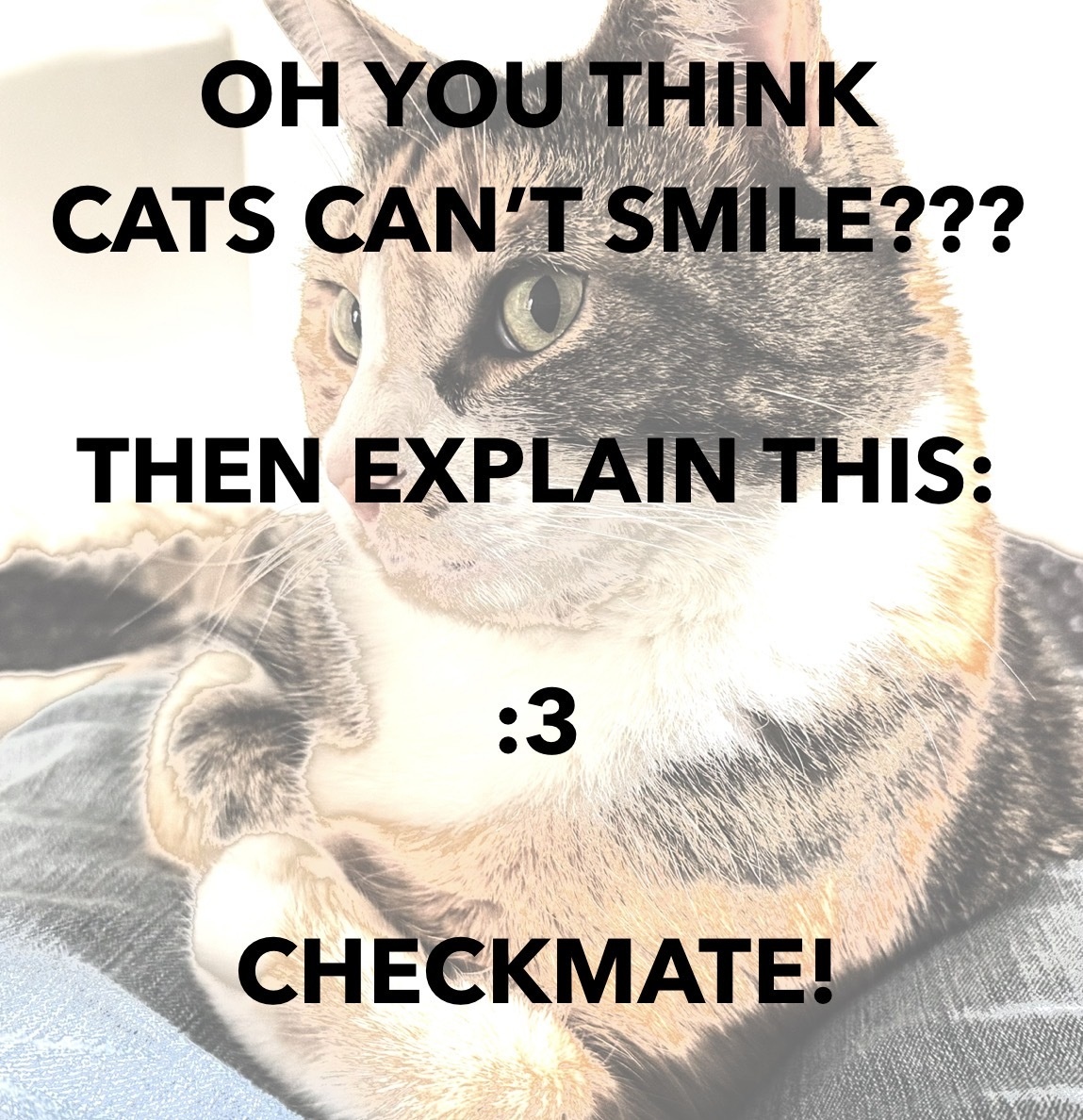 I thought it was a pretty airtight argument