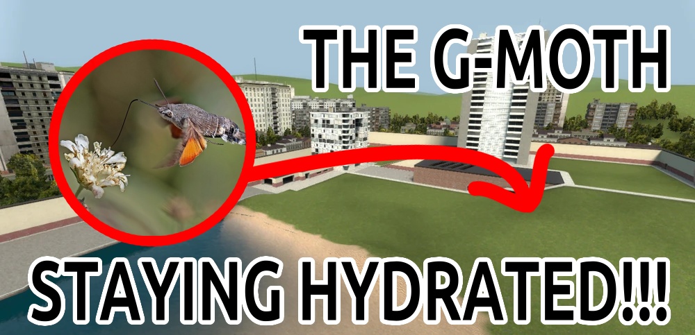a moth drinks from a flower. The background is a gerrys mod map. The caption says "The g-Moth is staying hydrated" with a lot of explaimation marks as if its really important