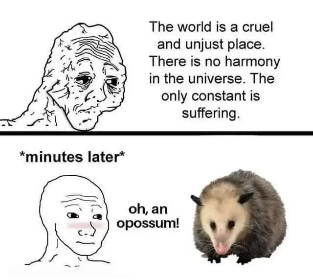A two panel comic. The first panel shows a depressed cartoon man stating, "The world is a cruel and unjust place. There is no harmony in the universe. The only constant is suffering." The second panel shows the same man who is elated upon seeing an opossum, exclaiming, "Oh, an opossum!" There is a blush on his face.