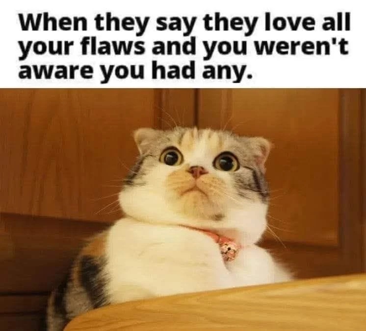 "When they say they love all your flaws and you weren't aware you had any." Picture of a surprised looking cat