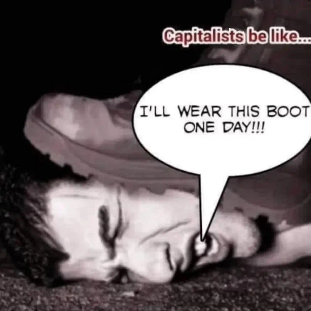 capis b laik