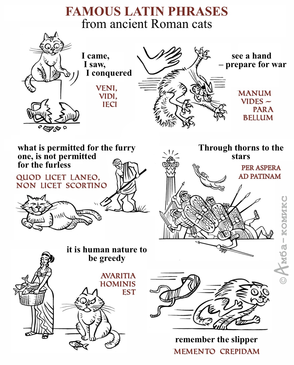 Famous Latin Phrases from ancient Roman cats