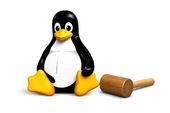 Ubuntu, Fedora, Linux Mint Eye Age Verification Amid California Law Backlash - 9to5Linux