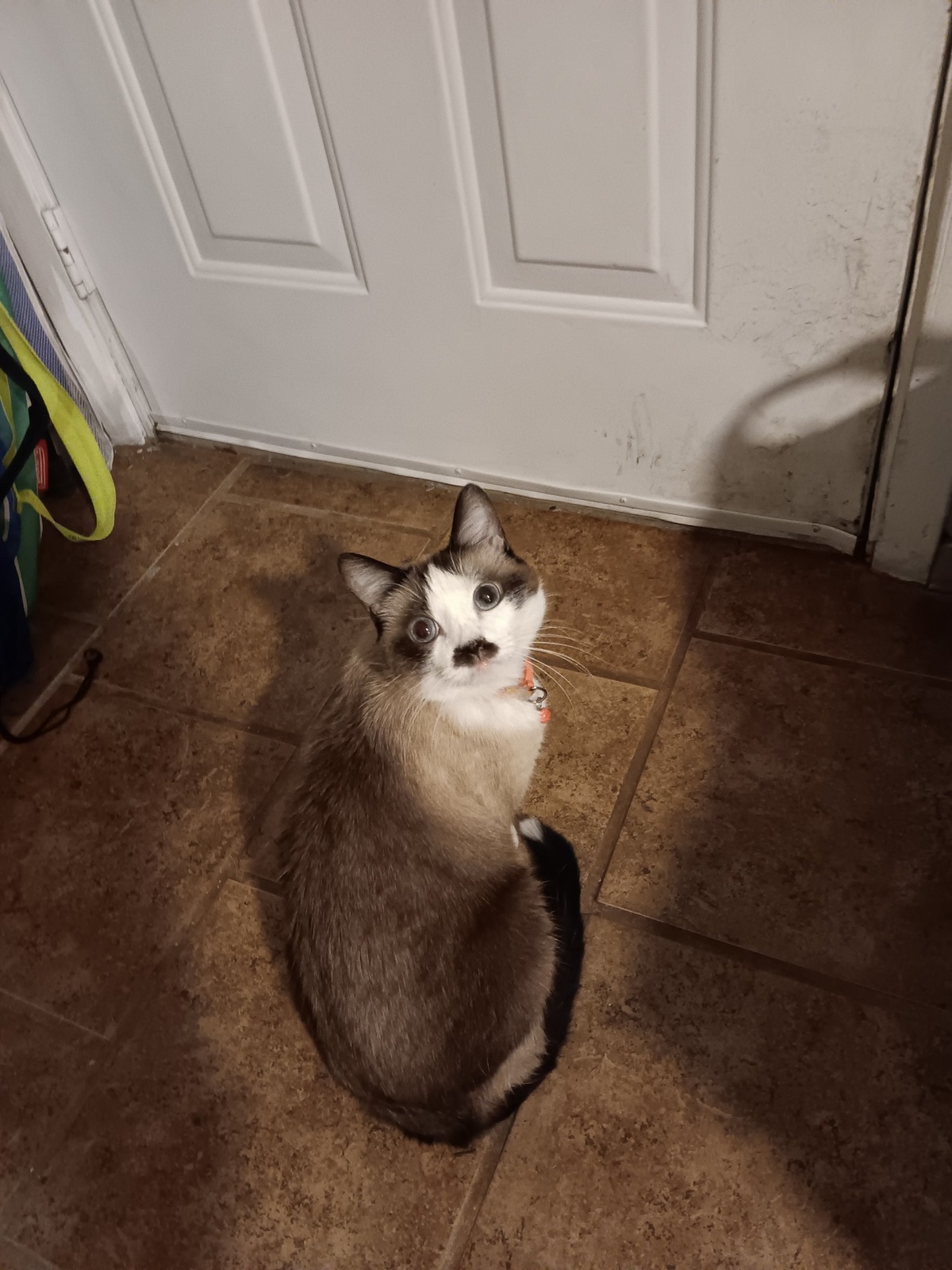 Please tell her she doesn't want to go out there