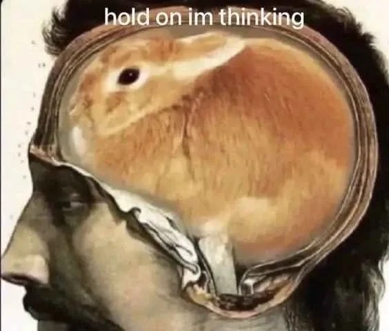 "Hold on im thinking". Picture of a persons head that has been opened, allowing you to see that they have a bunny instead of a brain