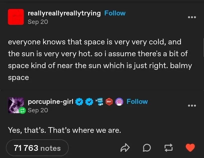 reallyreallyreallytrying on Tumblr "everyone knows that space is very cold, and the sun is very very hot. so i assume there's a bit of space kind of near the sun which is just right. balmy space". porcupine-girl replies "Yes, that's. That's where we are."
