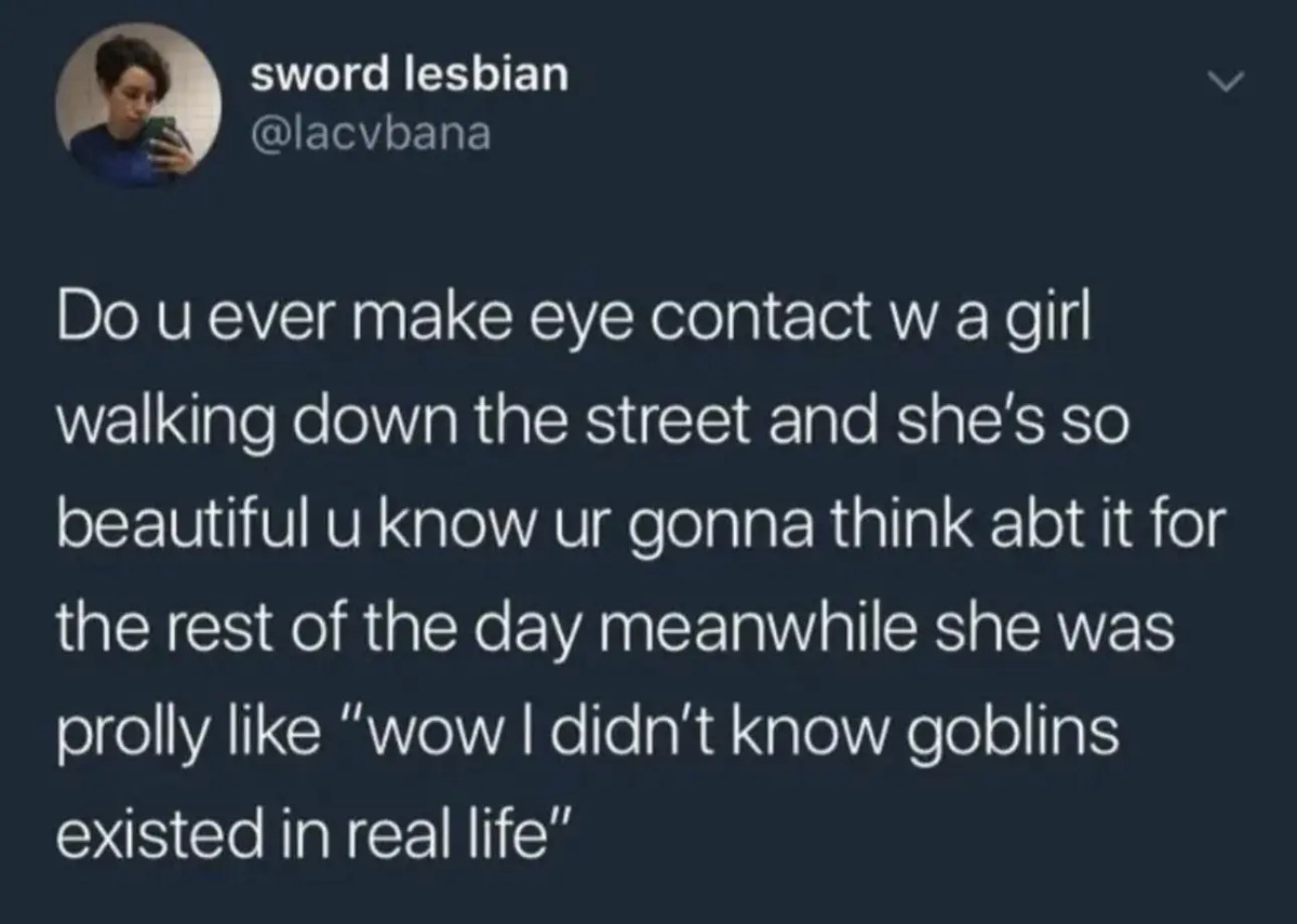 sword lesbian: Do u evern make eye contact w a girl walking down the street and she's so beautiful u know yr gonna think abt it for threst of the day meanwhile she was prolly like "wow I didn't know goblins eisted in real life"