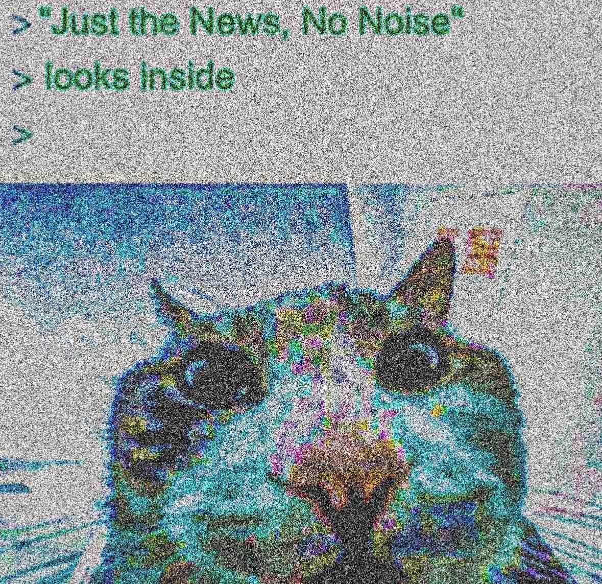 just the rules, no noise