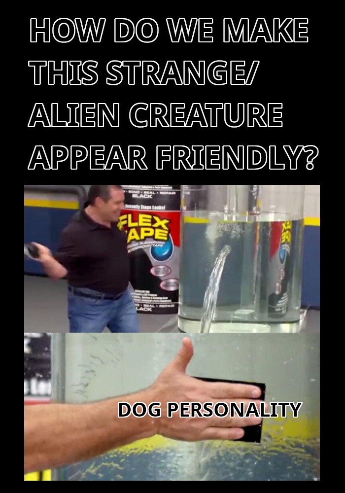 All the cartoon companies be like...