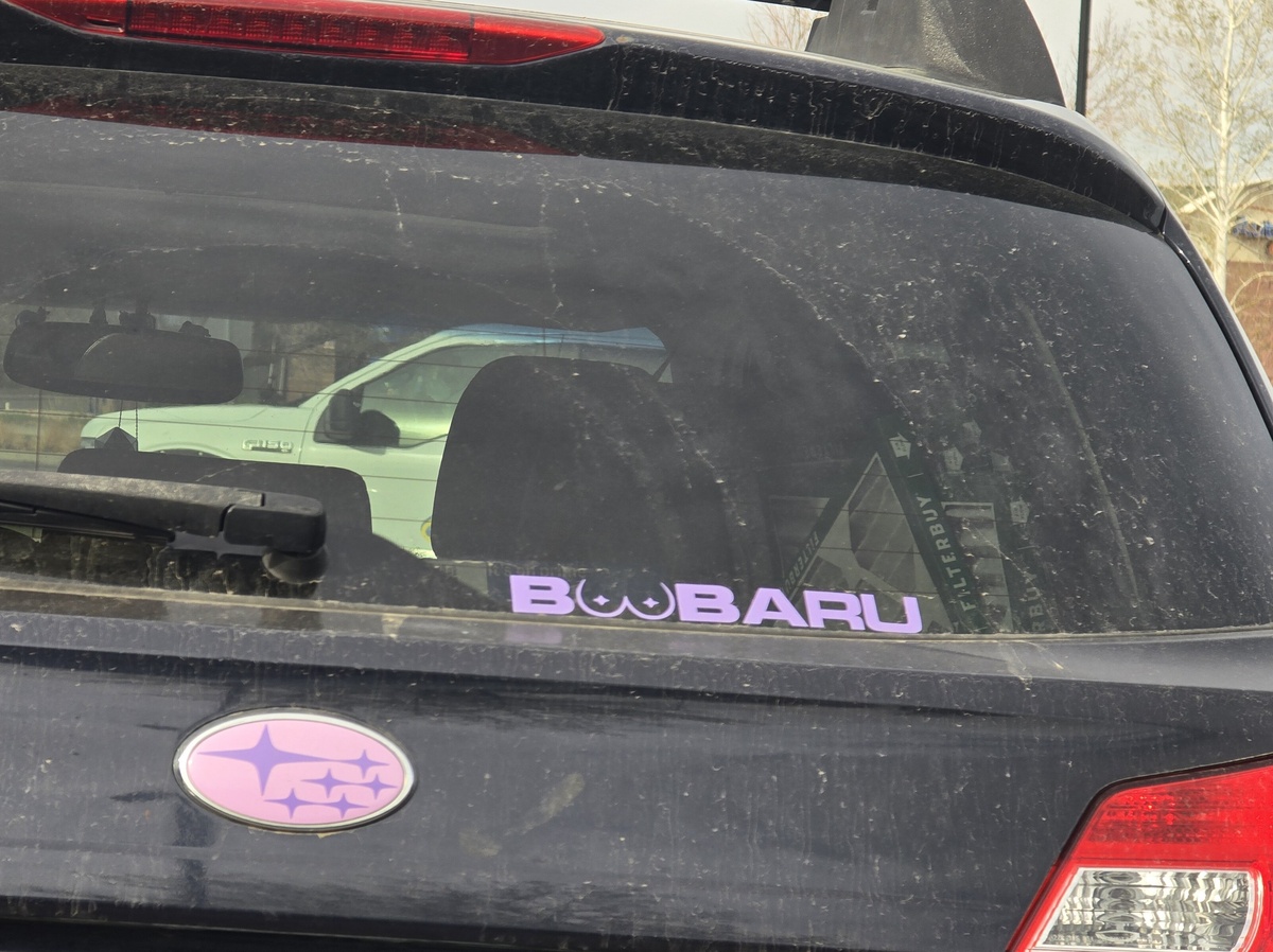 My favorite kind of bee is the...