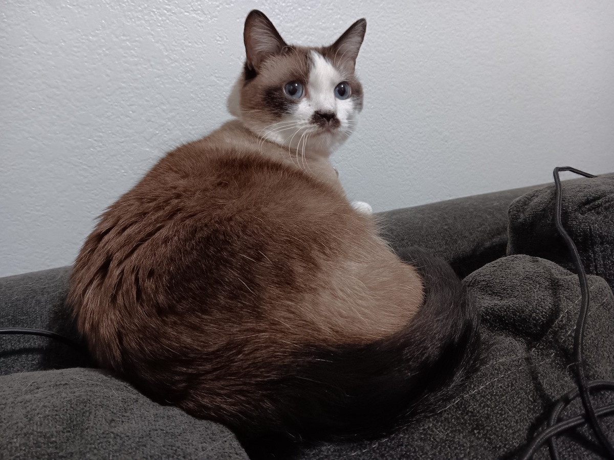 She's judging me for playing dnd