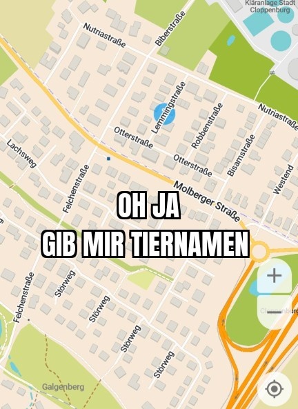 Screenshot einer Straßenkarte eines Wohngebiets in Cloppenburg aus CoMaps. Die Straßen Lemmingstraße, Nutriweg, Biberstraße, Bisamstraße, Robbenstraße, Lachsweg und Störweg sind sichtbar. Darauf der Text: Oh ja, gib mir Tiernamen